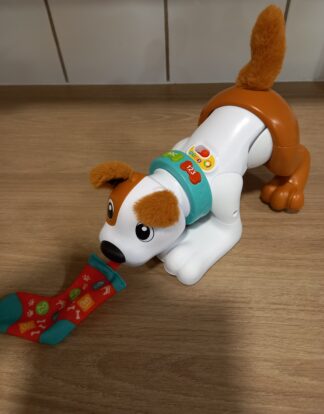 MON CHIOT RAMPE AVEC MOI FISHER PRICE