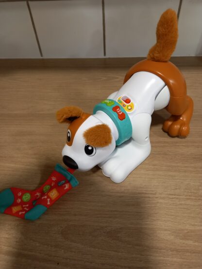 MON CHIOT RAMPE AVEC MOI FISHER PRICE