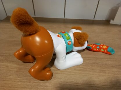 MON CHIOT RAMPE AVEC MOI FISHER PRICE