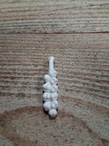 ail blanc ref 30096810